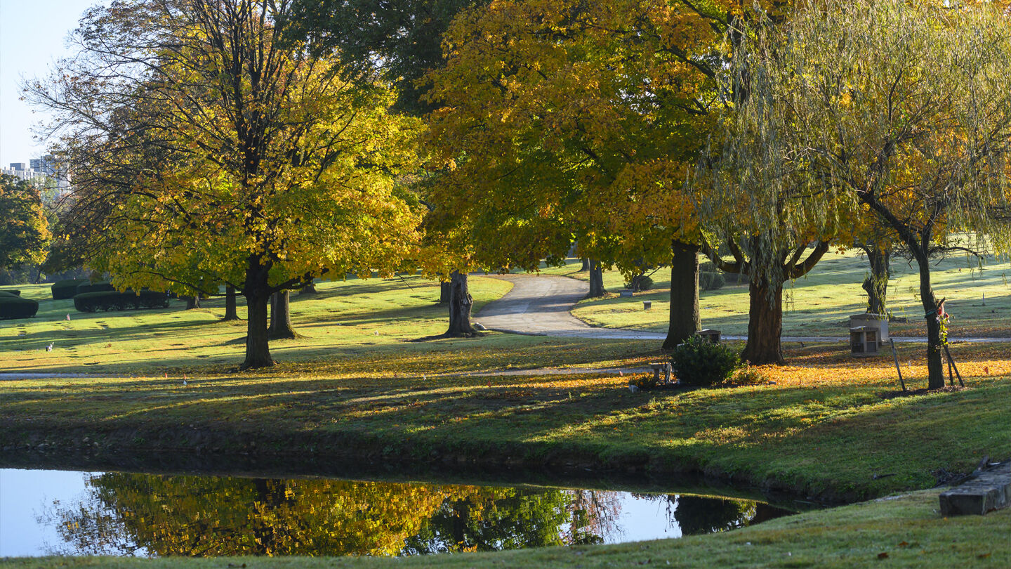 Valley Forge 2