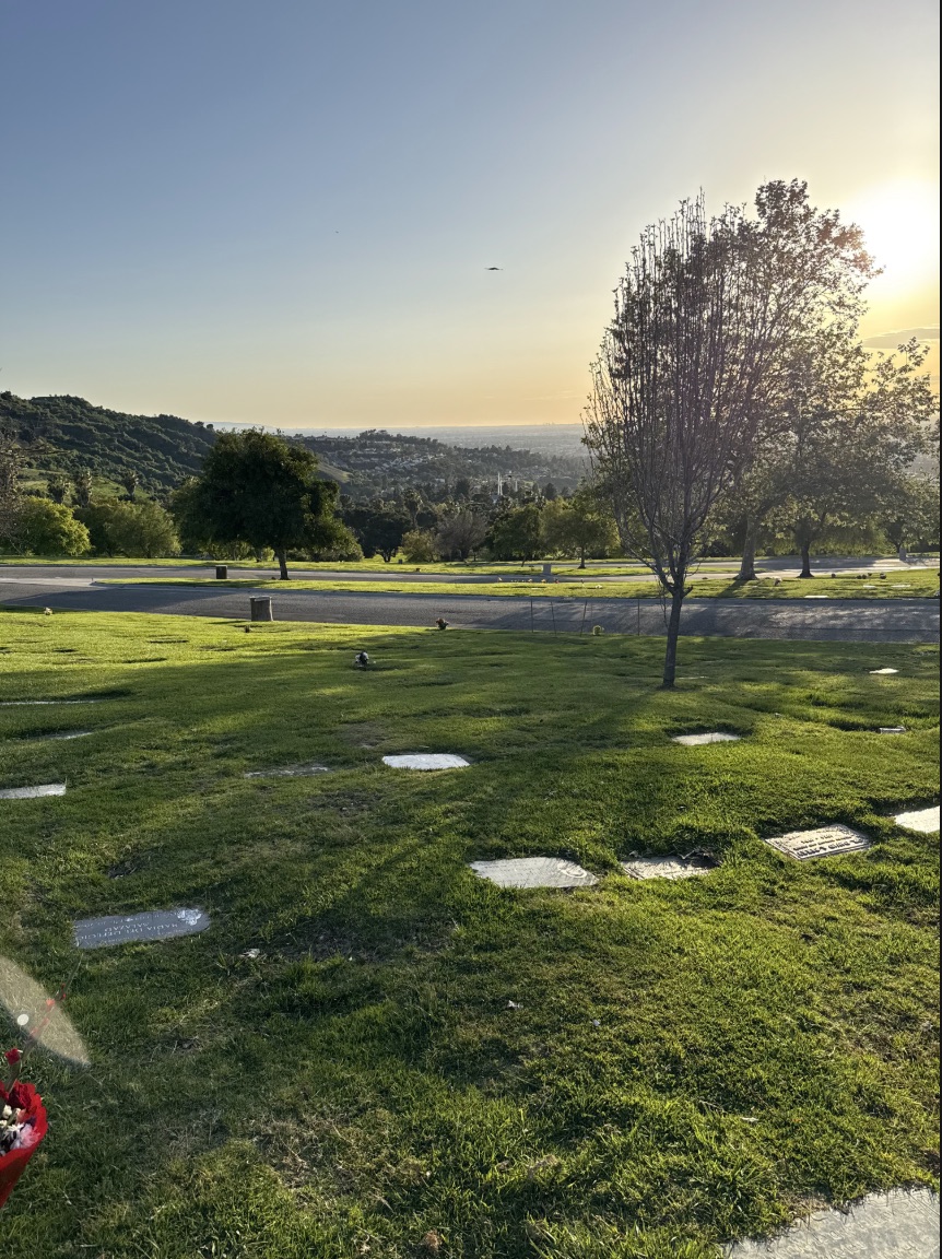 Hillside View