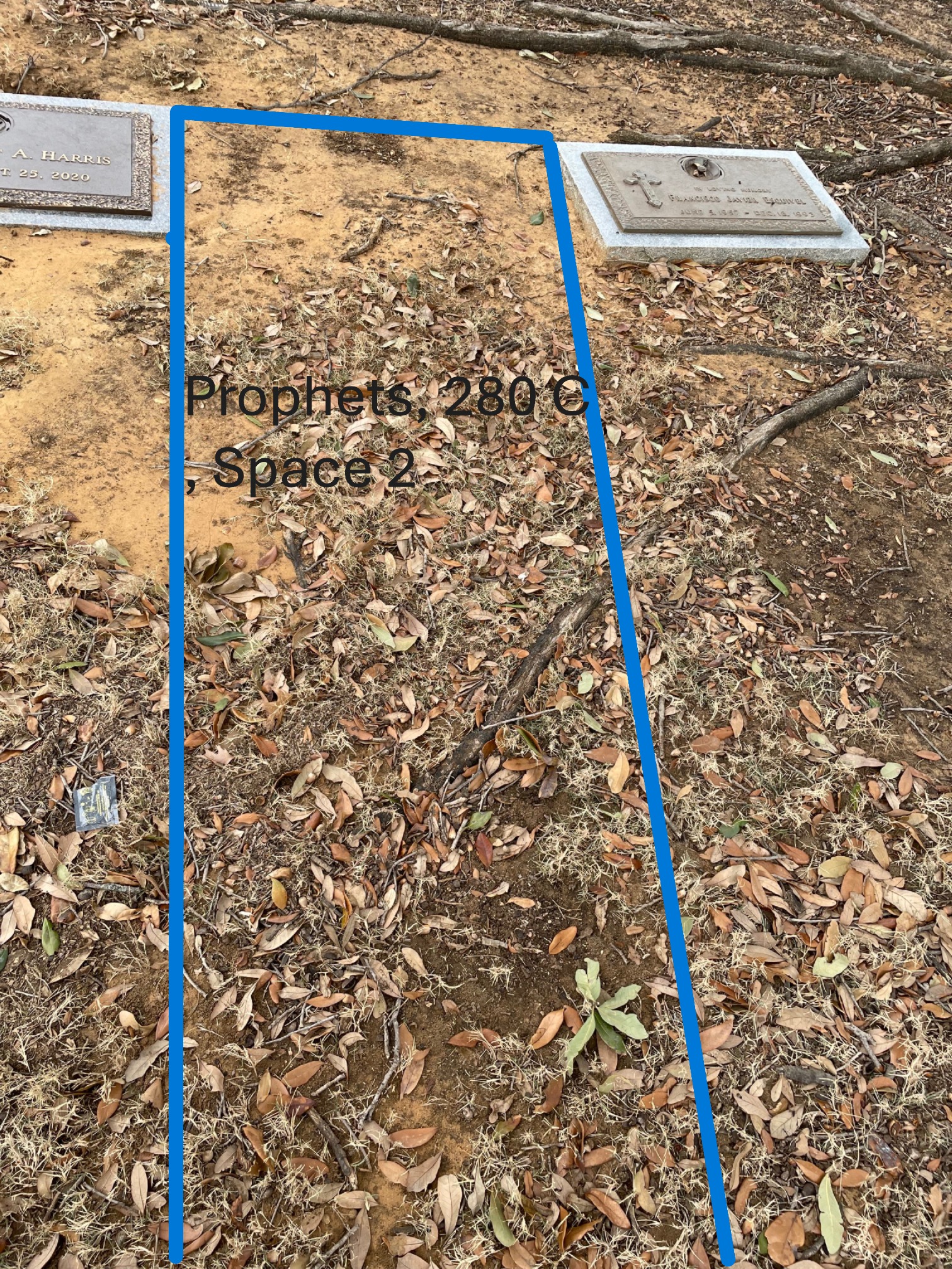 GraveSales Moor Aug 2025 2 IMG_3179