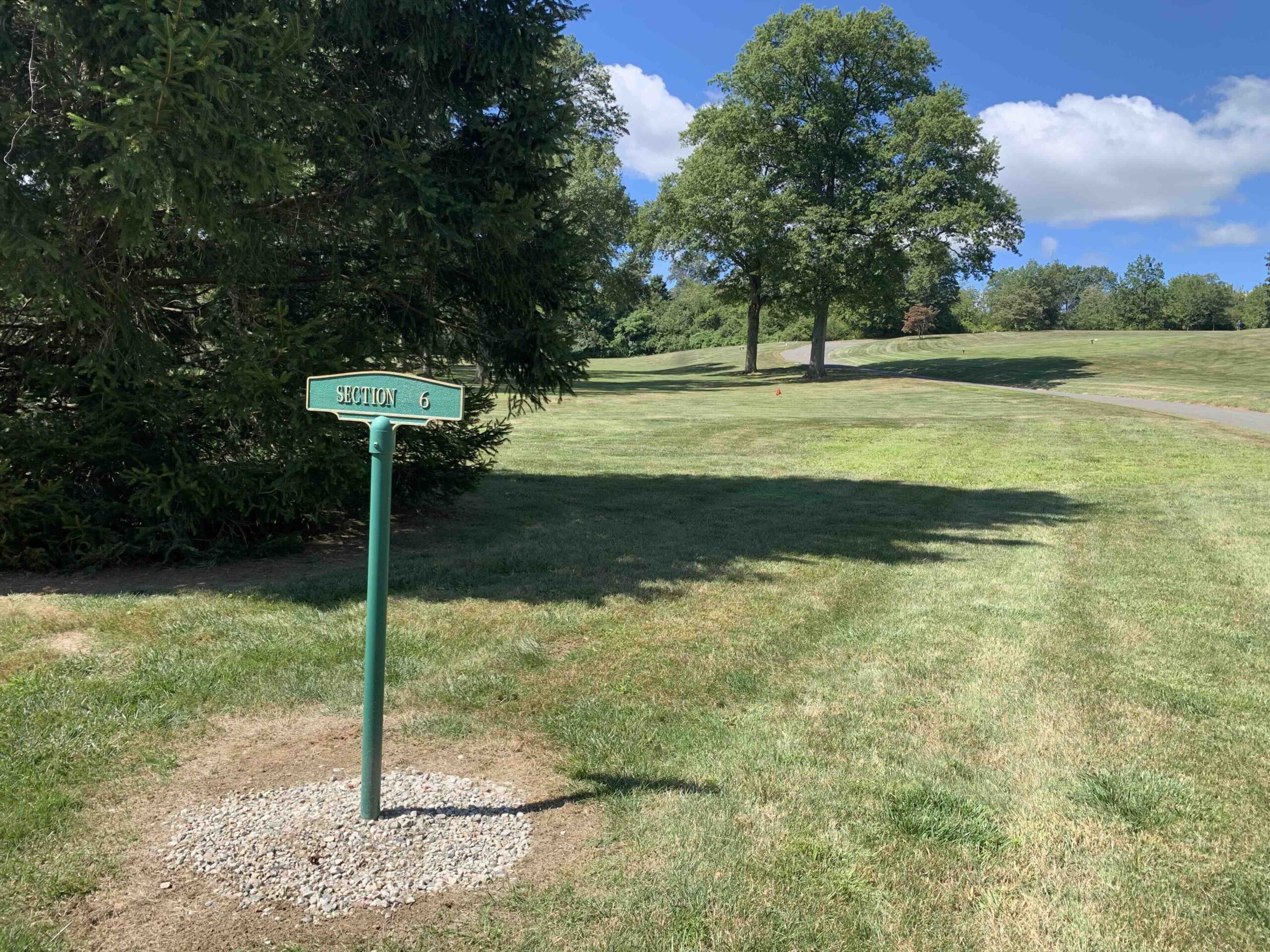 Section 6
