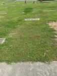 Plot2