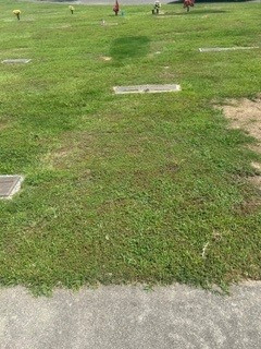 Plot2