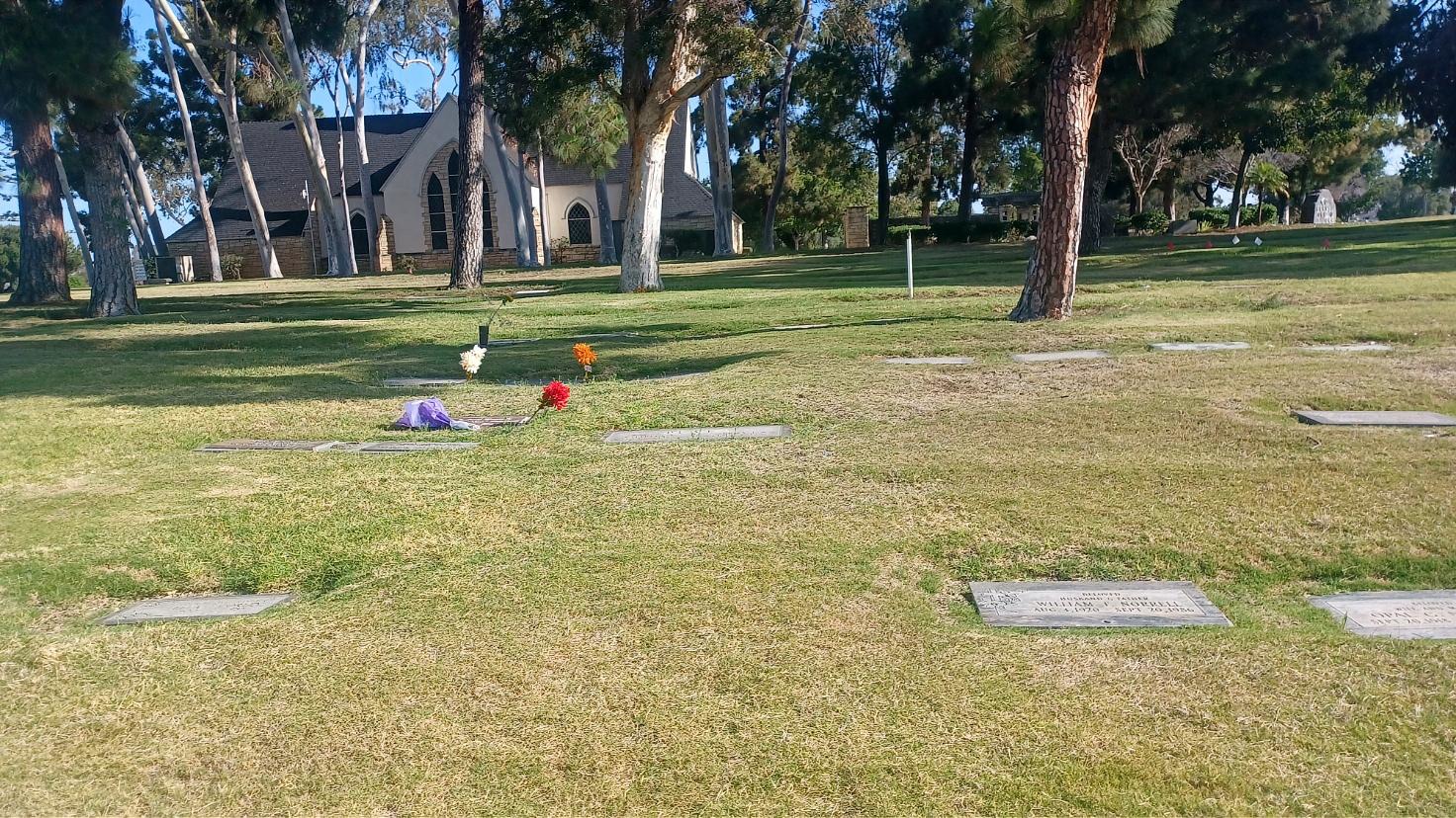 1 Plots-Chapel View 20260801_084601