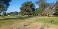 Treees Garden of Faith 20260801_074629